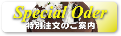 スペシャルオーダー