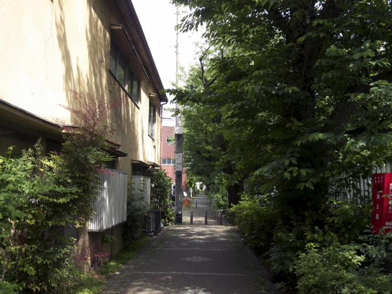 青葉の神田川遊歩道。